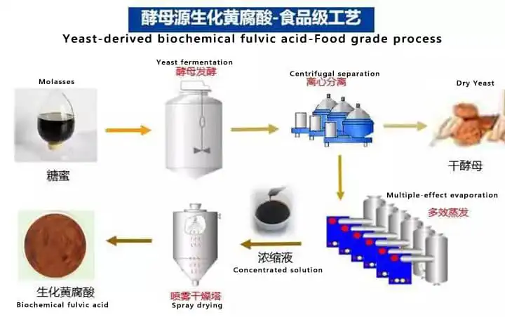 Explanation of Color Differences and pH Variations of Biochemical Fulvic Acid2